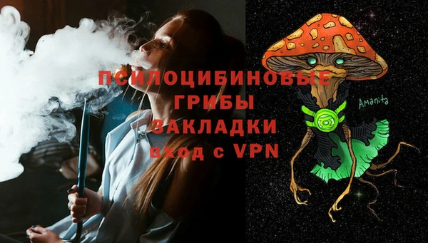 МДПВ Бронницы