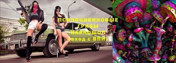твердый Бородино