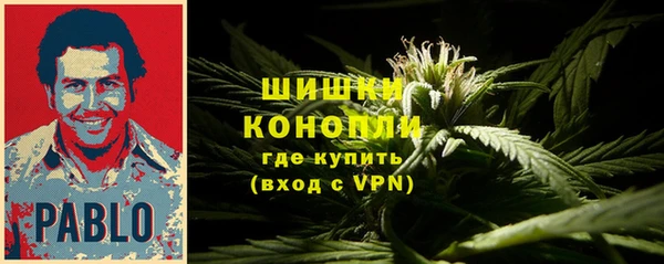 твердый Бородино