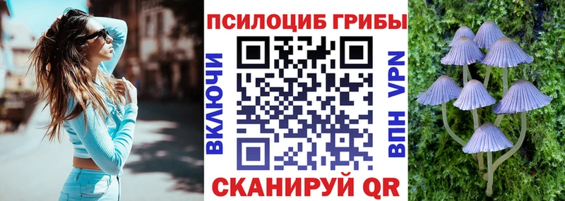 Псилоцибиновые грибы Cubensis  Купить  Ленинск 